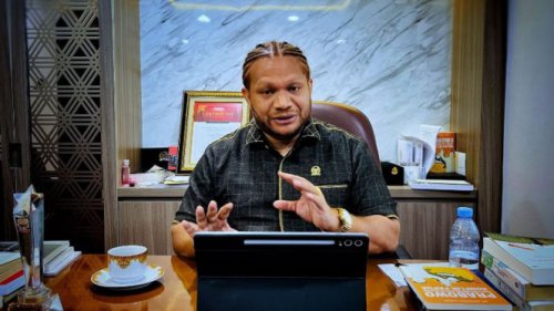 Senator Paul Minta Perusahaan Tambang Patuhi Otsus soal Kuota Pekerja Orang Asli Papua