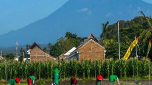 Gunung Raung Erupsi, BPBD Banyuwangi: Belum Ada Dampak