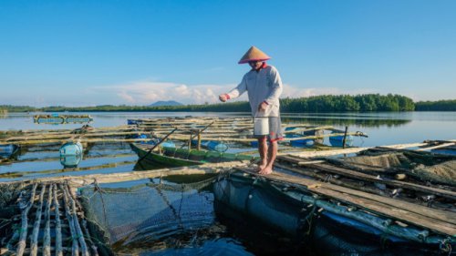 Dorong Sektor Produksi Bergeliat, BRI Salurkan KUR Rp69,8 triliun ke 8,3 Juta Debitur UMKM