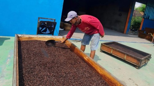 Modal Awal Rp 21 Juta, Omzet Kopi Lelet Pandawa Kini Tembus Rp 30 Juta Per Hari