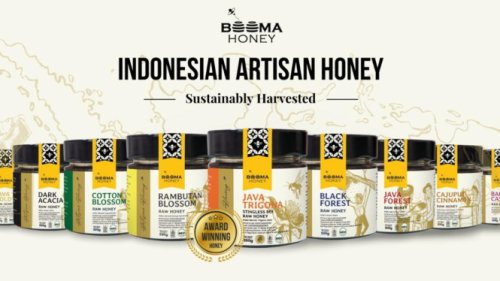 UMKM Madu Lokal Naik Kelas! Tembus Pasar Global Berkat Dukungan BRI