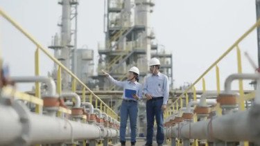 CDIA Raup Laba Rp2 Triliun di 2025, Ekspansi Dorong Kinerja Melonjak