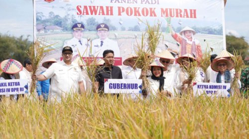 Komisi IV DPR Soroti Inovasi Budidaya Padi Ramah Lingkungan di Kabupaten Agam