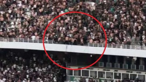 Mengerikan, Penyebab Insiden Maut yang Tewaskan 3 Suporter di Liga Aljazair