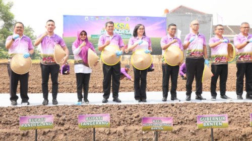 Jamintel Kembangkan Tanaman Holtikultura Sebagai Program Ketahanan Pangan