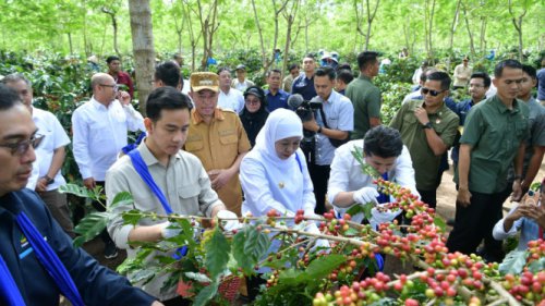 Wapres Gibran Dorong Branding Kopi RI Biar Jadi Produk Level Internasional