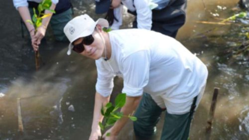 Penanaman Pohon Mangrove Bisa Kurangi Dampak Industri Kecantikan bagi Lingkungan