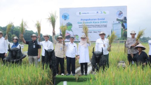Banyuwangi Luncurkan Ekosistem Beras Biofortifikasi Skala Industri Pertama di Indonesia
