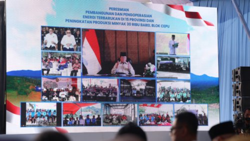 Meski Cadangan Migas Indonesia Besar, Prabowo Tegaskan yang Strategis Energi Tenaga Surya