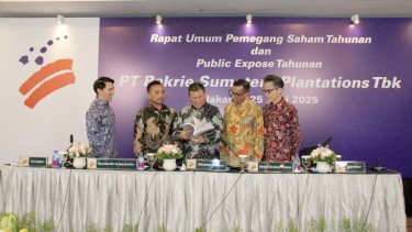 Laba Bakrie Sumatera Plantations Melonjak 103% di Kuartal II-2025, Didongkrak Penjualan Sawit dan Karet