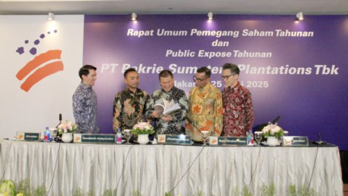 Genjot Produktivitas Sawit, Bakrie Sumatera Plantations Cetak Penjualan Rp497 Miliar Kuartal I-2025