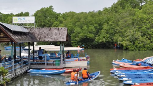 PLN IP Berdayakan Ekonomi Lokal Lewat Konservasi Mangrove Batu Lumbang