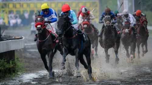 Fakta Menarik Triple Crown, Gelar Paling Prestisius di Arena Balap Kuda