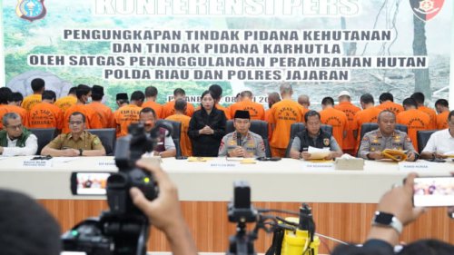 Polda Riau Bongkar Kasus Perambahan 143 Hektare Hutan di Rokan Hulu, Dua Pelaku Ditangkap
