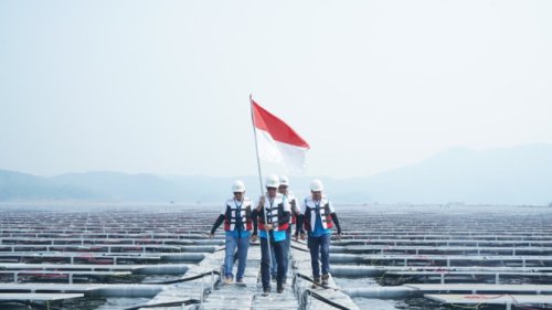 Dukung Pembangunan Berkelanjutan, Green Financing BRI Terus Tumbuh Capai Rp89,9 Triliun