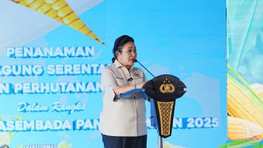 DPR Sentil Menko Zulhas soal Beras Oplosan: Tolong Turun Tangan, Jangan Diam Saja!