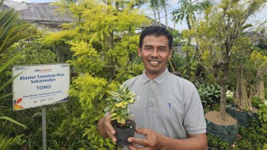 Sukses Jadi Mata Pencaharian Warga Sekitar, Ini Kisah Klaster Usaha Tanaman Hias Binaan BRI