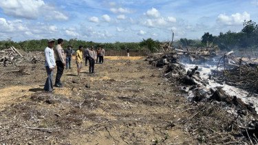 Supar Sengaja Bakar Lahan Karet Buat Dijadikan Kebun Kelapa Sawit, Ditangkap Polisi