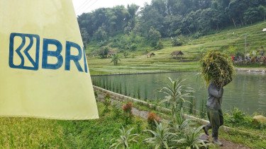 BRI Salurkan KUR Rp83,38 triliun, Pertanian Jadi Motor Utama
