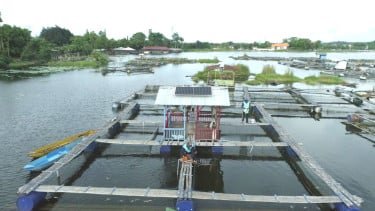 Pasang PLTS di Keramba Nelayan Danau Ranu, PLN IP Dorong Produktivitas Nelayan