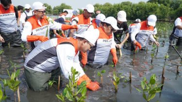 Tumbuhkan Cinta Lingkungan, Pertamina dan Siswa SD Tanam Puluhan Ribu Mangrove