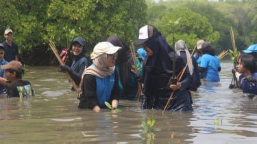 Tembus Times Higher Education Impact Rankings, Bukti Komitmen Universitas Pertamina Pada Pembangunan Berkelanjutan