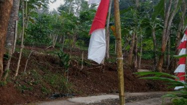 Heboh Puluhan Bendera Merah Putih dan Umbul-umbul di Pacitan Dirusak, Ini Penjelasan Kapolres
