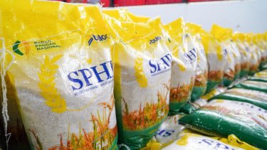 Harga Cabai, Beras, Minyak Goreng, hingga Bawang Turun, Cek Daftar Lengkapnya