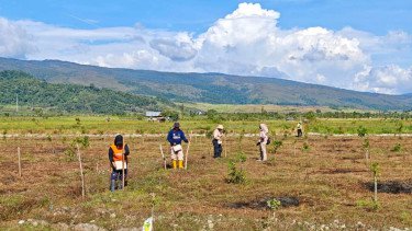 Dorong Ketahanan Pangan, Bank Tanah Gandeng Warga Manfaatkan 4 Hektare Lahan di HPL Poso