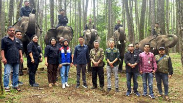 Dukung Konservasi Gajah Sumatera, Pertamina Patra Niaga Tegaskan Genjot Bisnis Berkelanjutan