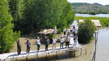 Budidaya Kepiting dan Mangrove, MPMX Dukung Pertumbuhan Ekonomi Pesisir NTT