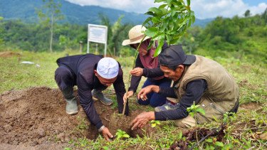Jaga Keanekaragaman Hayati, Telkom Aktif Lakukan Penanaman Bibit Pohon di Berbagai Daerah