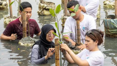 Pulau Harapan Siap Jadi Destinasi Ekowisata, PT Delta Sukses Teknologi Tanam 1.000 Mangrove