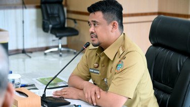 Serius Tangani Hama Lalat Buah, Gubernur Bobby Nasution Tekankan Tiga Hal Ini