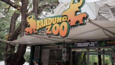 Kemenhut Cabut Izin Lembaga Konservasi Bandung Zoo, Bagaimana Nasib Satwanya?