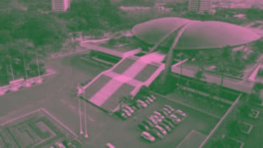 Viral Profil Pink dan Hijau di Medsos, Ternyata Ini Makna di Baliknya