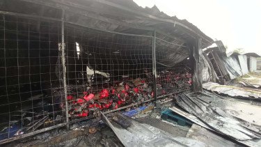 Si Jago Merah Ngamuk! Gudang Oli di Palmerah Ludes Terbakar