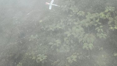 Helikopter PK-IWS Jatuh di Lereng Gunung Timika, Begini Penampakannya