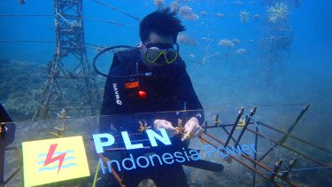 Cara PLN IP Pastikan UBP Jeranjang Tak Hanya Jadi Pusat Energi Pulau Lombok