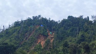 Tambang Ilegal Ditertibkan, Ratusan Hektare Lahan Kembali ke Negara