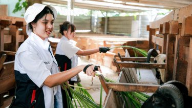 Employee Volunteering MIND ID Hadirkan Ekosistem Ekonomi Sirkular Bagi Desa Ciderum
