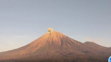 Gunung Semeru Erupsi, Warga Diminta Waspada Awan Panas dan Lahar