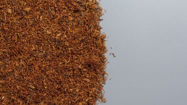 Guru Besar Unair Desak Kajian Ulang Cukai Rokok: Tanpa Industri Tembakau, APBN Bisa Terguncang!