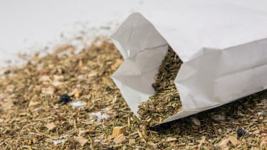 Industri Rokok Serap 6 Juta Pekerja, Cukai 2026 Dipastikan Tak Naik