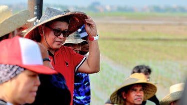 PDIP: Kedaulatan Pangan Harga Mati, Petani Harus Sejahtera