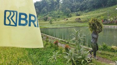 Peringati Hari Tani Nasional, BRI Perkuat Dukungan Pertanian melalui Akses Pembiayaan dan Pemberdayaan Inklusif