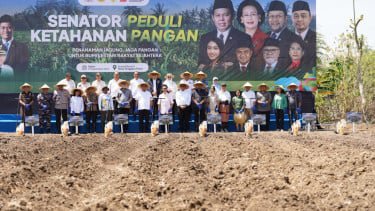 Akselerasi Target Swasembada Pangan, Kementan dan DPD Tanam Jagung Serentak di 4 Provinsi