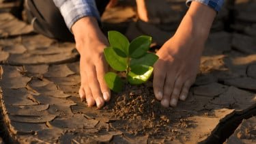 Pemuda menanam bibit pohon @ 2020 Piyaset [https://www.shutterstock.com/image-photo/hand-young-people-planting-small-plant-1746515330]