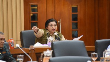 DPR Minta Kemenkes Hukum 4 RS Imbas Ibu Hamil Meninggal di Papua