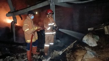 Kandang Ayam di Sragen Terbakar, 4.200 Anak Ayam Terpanggang